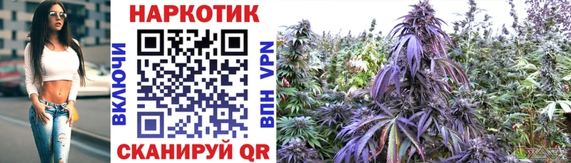 Магазины продажи наркотиков Новосокольники МАРИХУАНА Псилоцибиновые грибы Меф COCAIN
