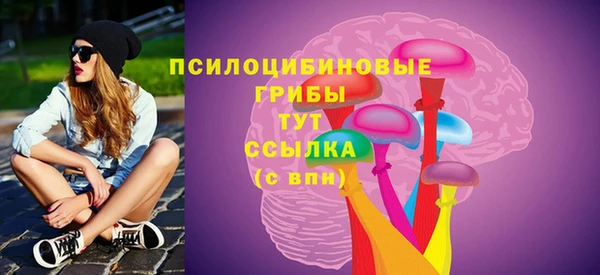 стаф Вязьма