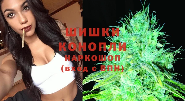 стаф Вязьма
