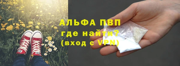 амф Володарск