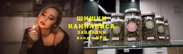 стаф Вязьма