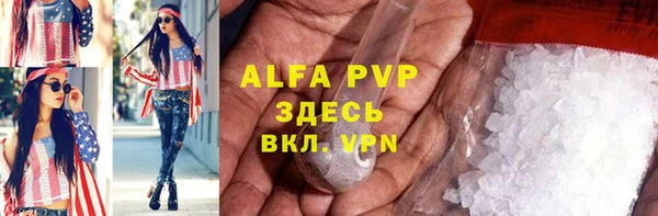стаф Вязьма
