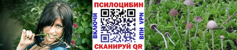 Псилоцибиновые грибы MAGIC MUSHROOMS  маркетплейс состав  Новосокольники  купить  цена 